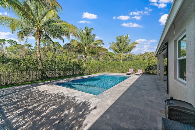 view of pool with a patio