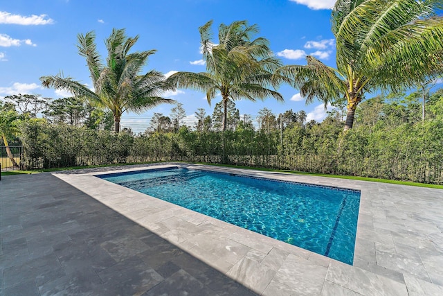 view of pool featuring a patio