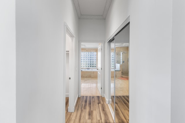 corridor with light wood-type flooring