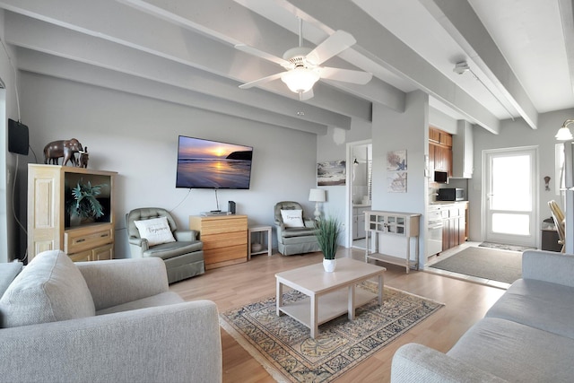 living room featuring ceiling fan, beamed ceiling, and light hardwood / wood-style floors