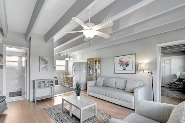 living room featuring plenty of natural light, beamed ceiling, ceiling fan with notable chandelier, and hardwood / wood-style flooring