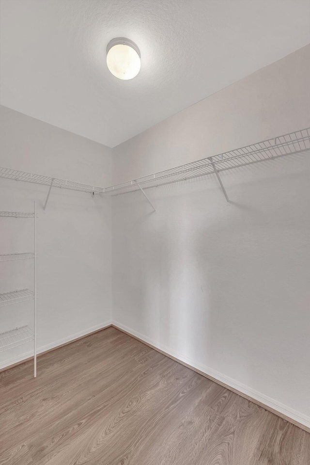 walk in closet featuring light hardwood / wood-style floors