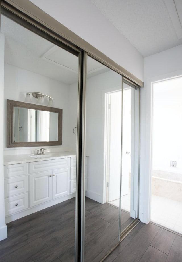 closet with sink