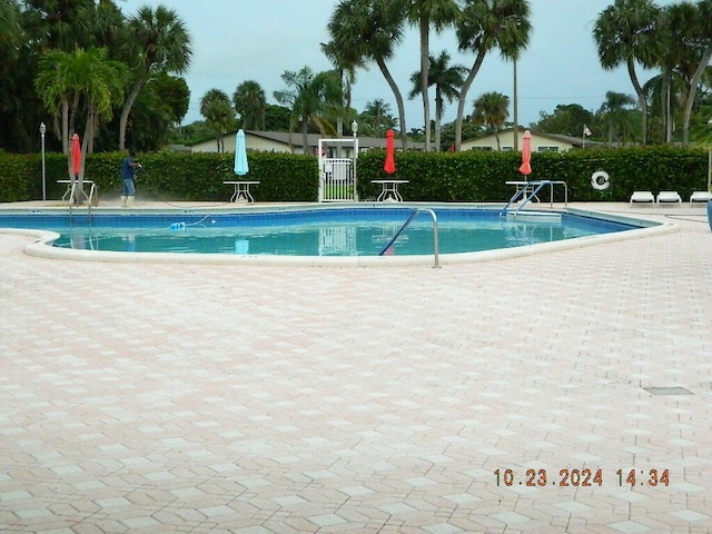 view of pool featuring a patio area