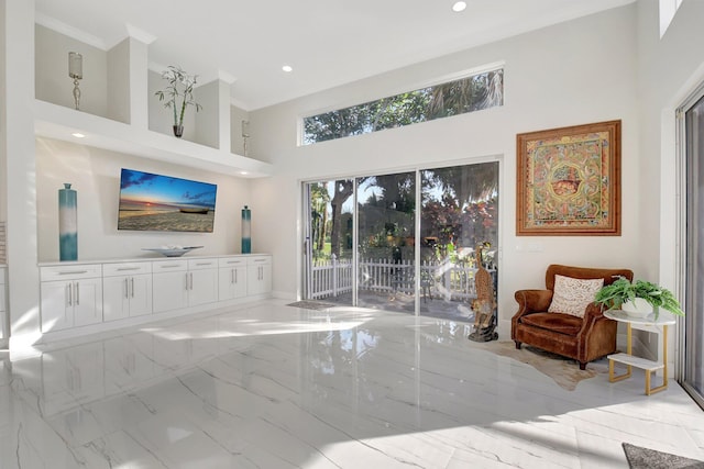 living room featuring a towering ceiling