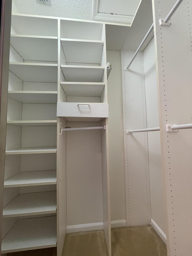 spacious closet featuring carpet