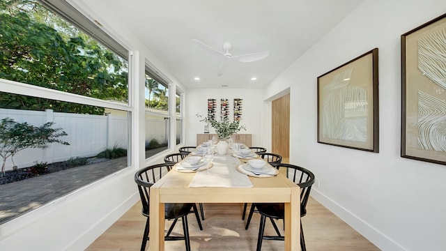 dining area featuring ceiling fan and light hardwood / wood-style flooring