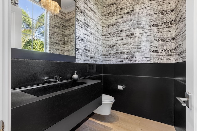 bathroom with vanity, wood-type flooring, and toilet