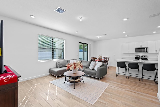 living room featuring light hardwood / wood-style flooring and sink