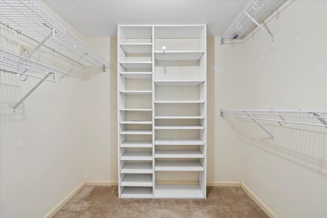 walk in closet featuring carpet floors