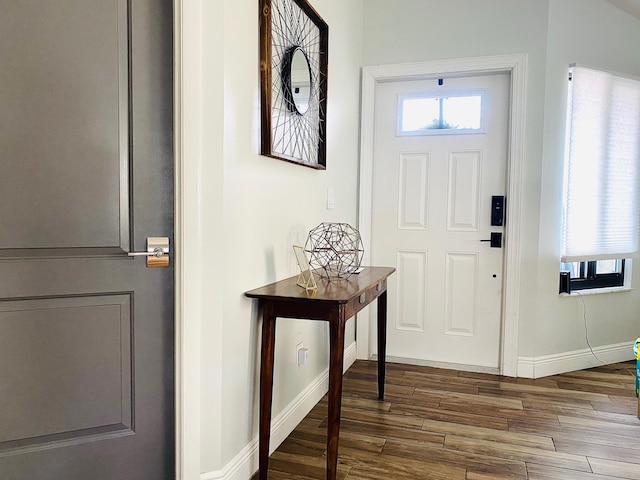 foyer entrance with dark wood-type flooring