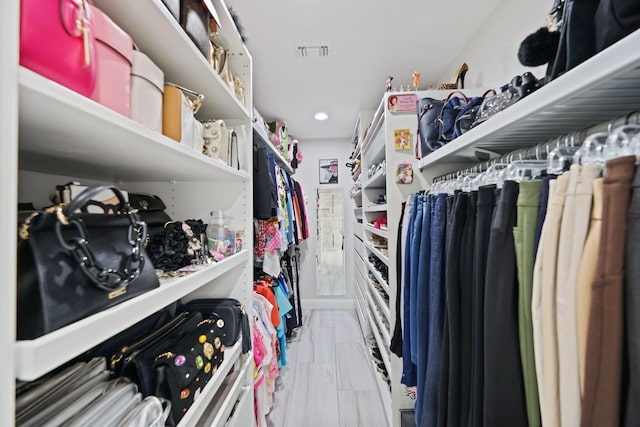 view of walk in closet