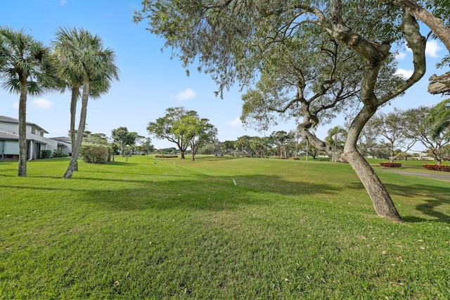 view of community featuring a yard