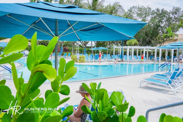 view of swimming pool with a patio area