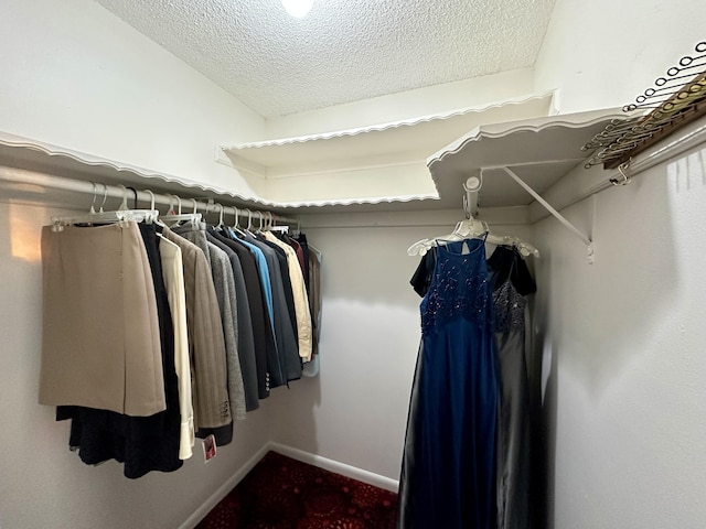 view of walk in closet