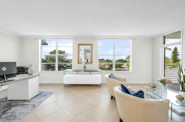 interior space featuring ornamental molding, a textured ceiling, a healthy amount of sunlight, and sink