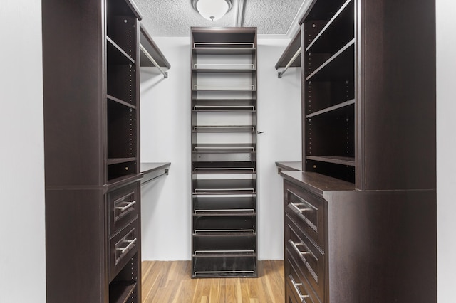 spacious closet featuring light hardwood / wood-style floors