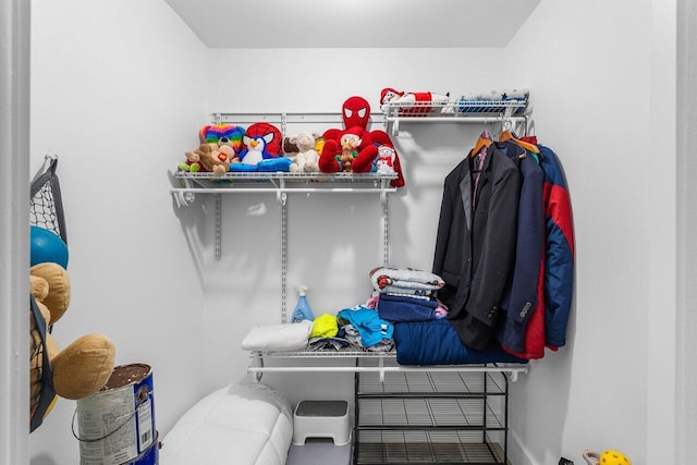 view of spacious closet