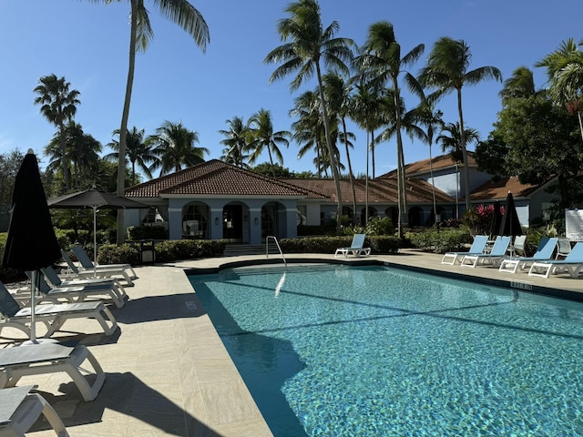 view of swimming pool featuring a patio