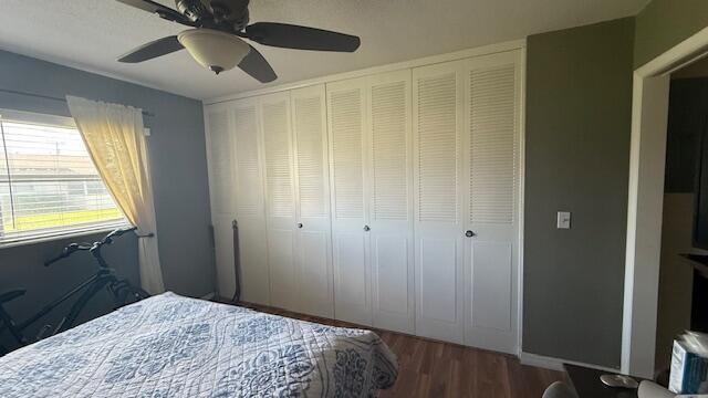 bedroom featuring a closet, ceiling fan, and dark hardwood / wood-style flooring