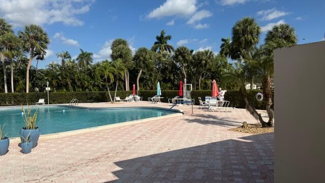 view of swimming pool with a patio