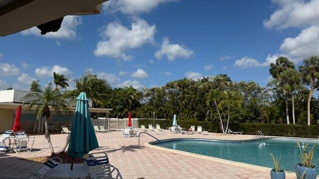 view of pool with a patio