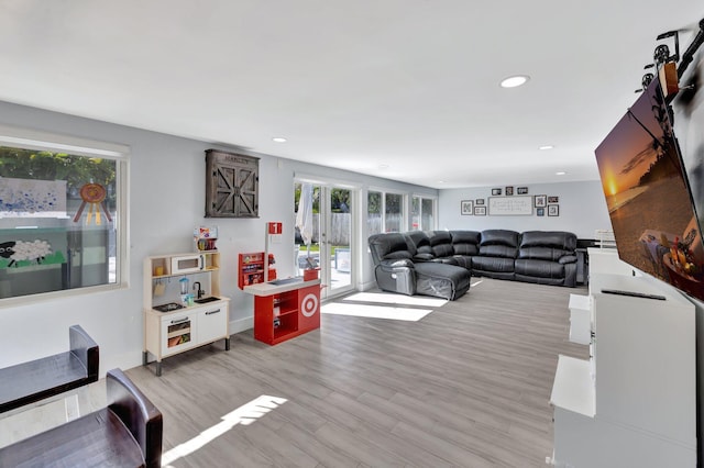 living room with a wealth of natural light and light hardwood / wood-style flooring