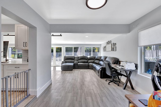 living room featuring light hardwood / wood-style floors and sink