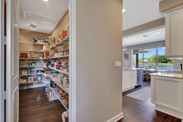 pantry featuring sink