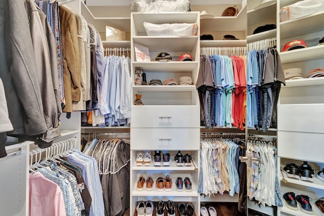 view of walk in closet