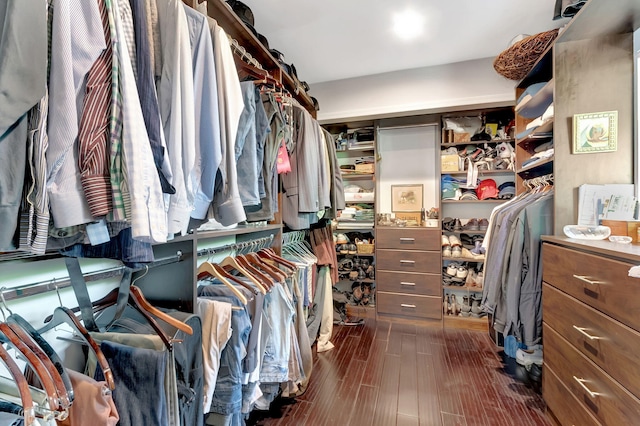 spacious closet with dark hardwood / wood-style flooring