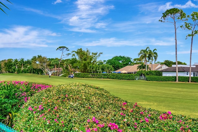 view of property's community featuring a yard