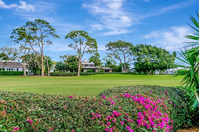 view of community featuring a lawn