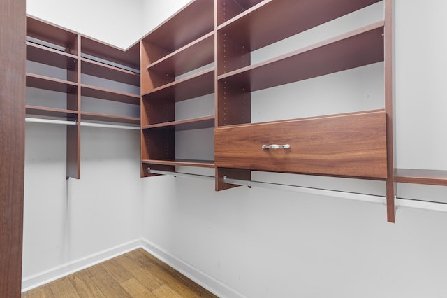 walk in closet featuring wood-type flooring