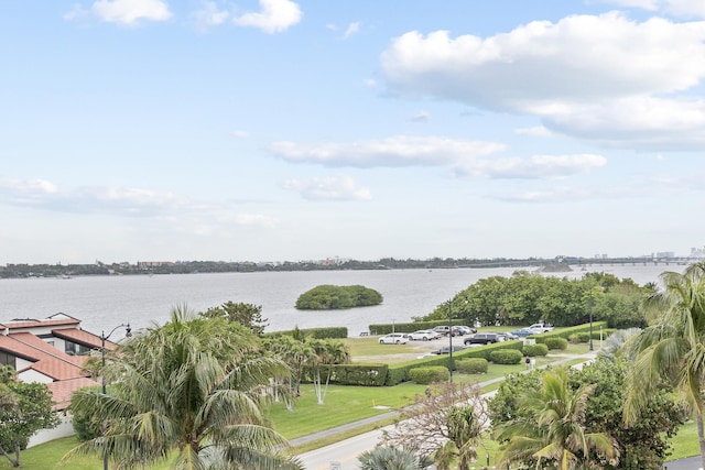 view of water feature