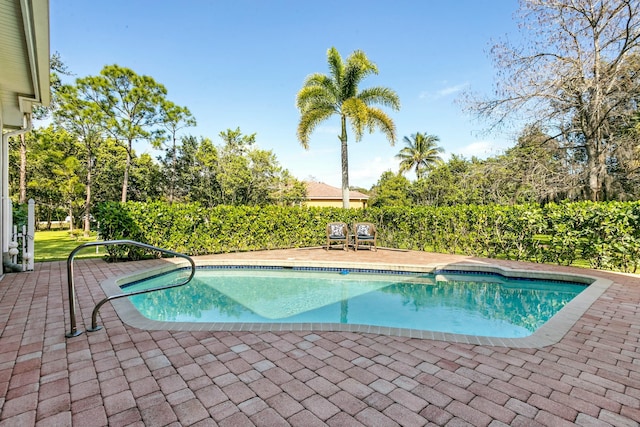 view of pool with a patio area