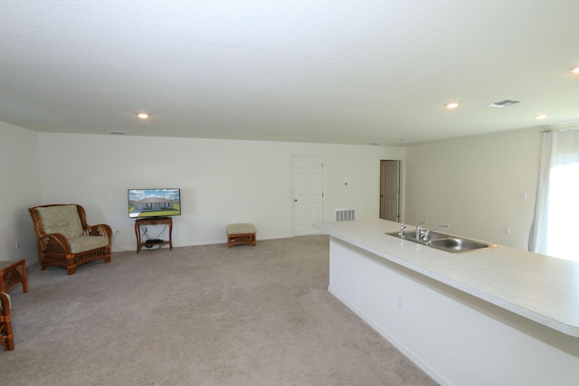 kitchen with light colored carpet and sink