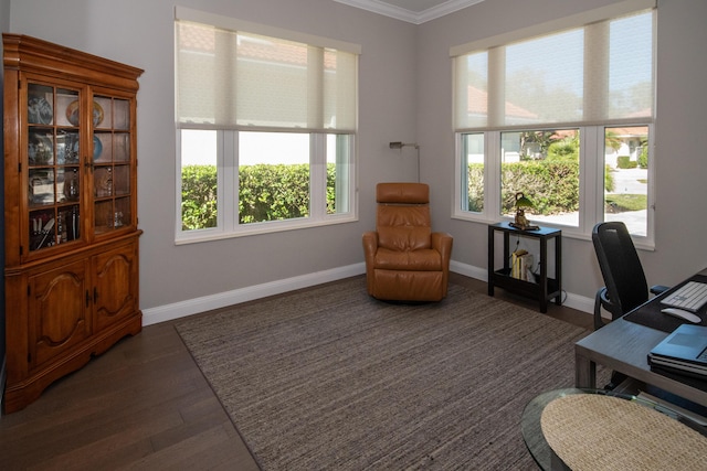 office featuring dark wood-type flooring, ornamental molding, and a healthy amount of sunlight