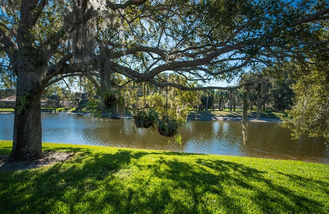 property view of water