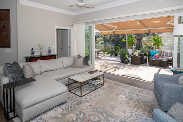 living room with ceiling fan, ornamental molding, and wood-type flooring