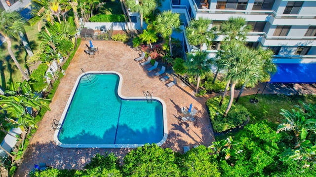 view of pool featuring a patio area