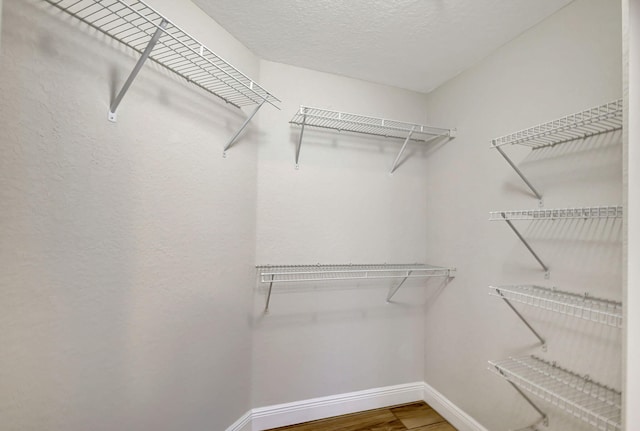 spacious closet with hardwood / wood-style floors