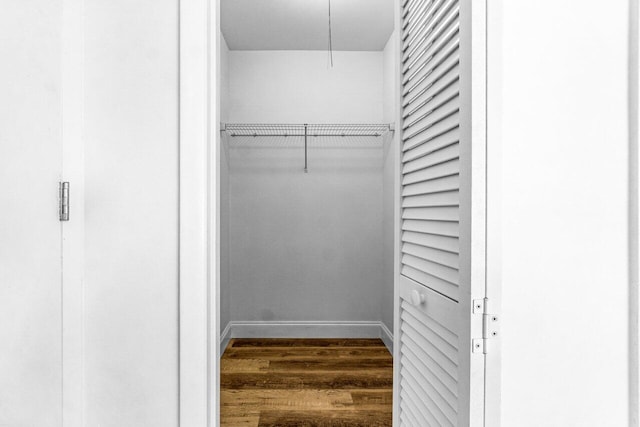 walk in closet with hardwood / wood-style floors