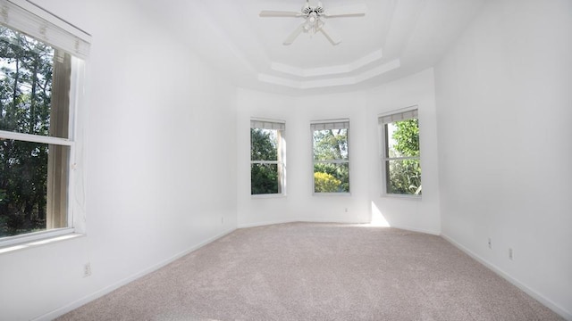 unfurnished room featuring carpet, a raised ceiling, and ceiling fan