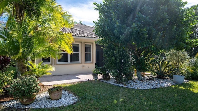 view of yard with a patio area