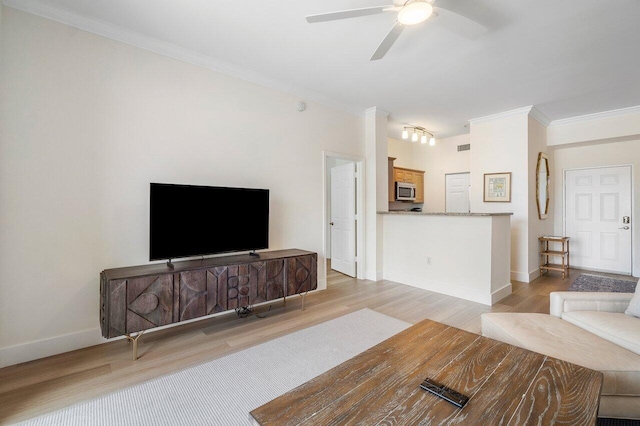 living room with light wood-type flooring, ceiling fan, and ornamental molding