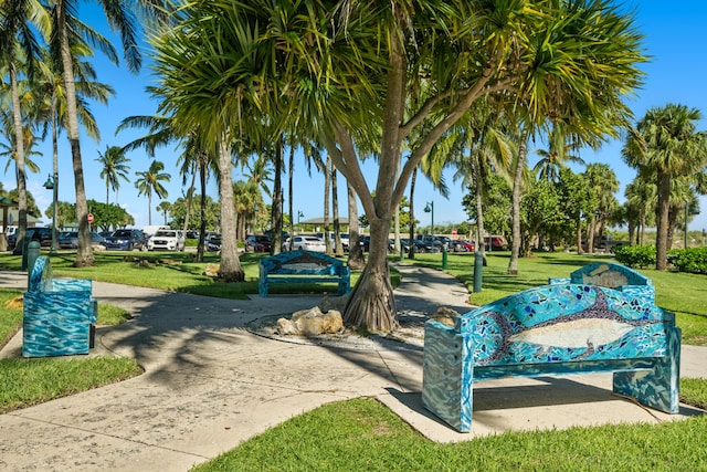 view of community featuring a lawn