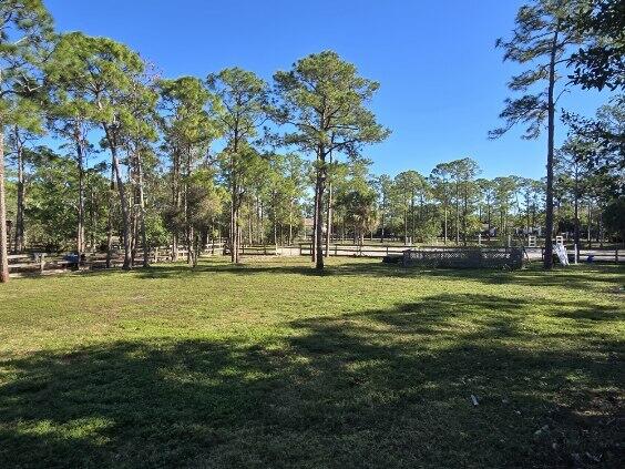 view of community featuring a lawn