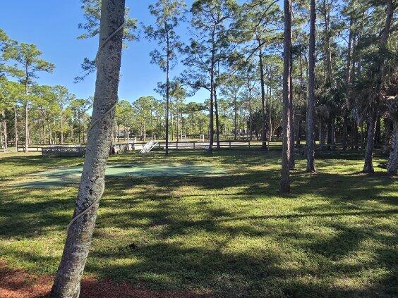 view of community with a yard