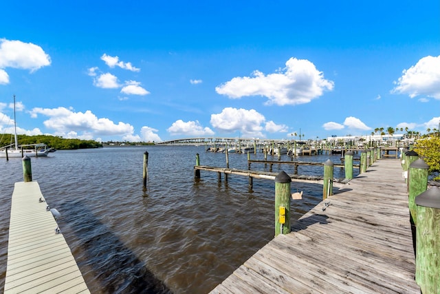 dock area with a water view